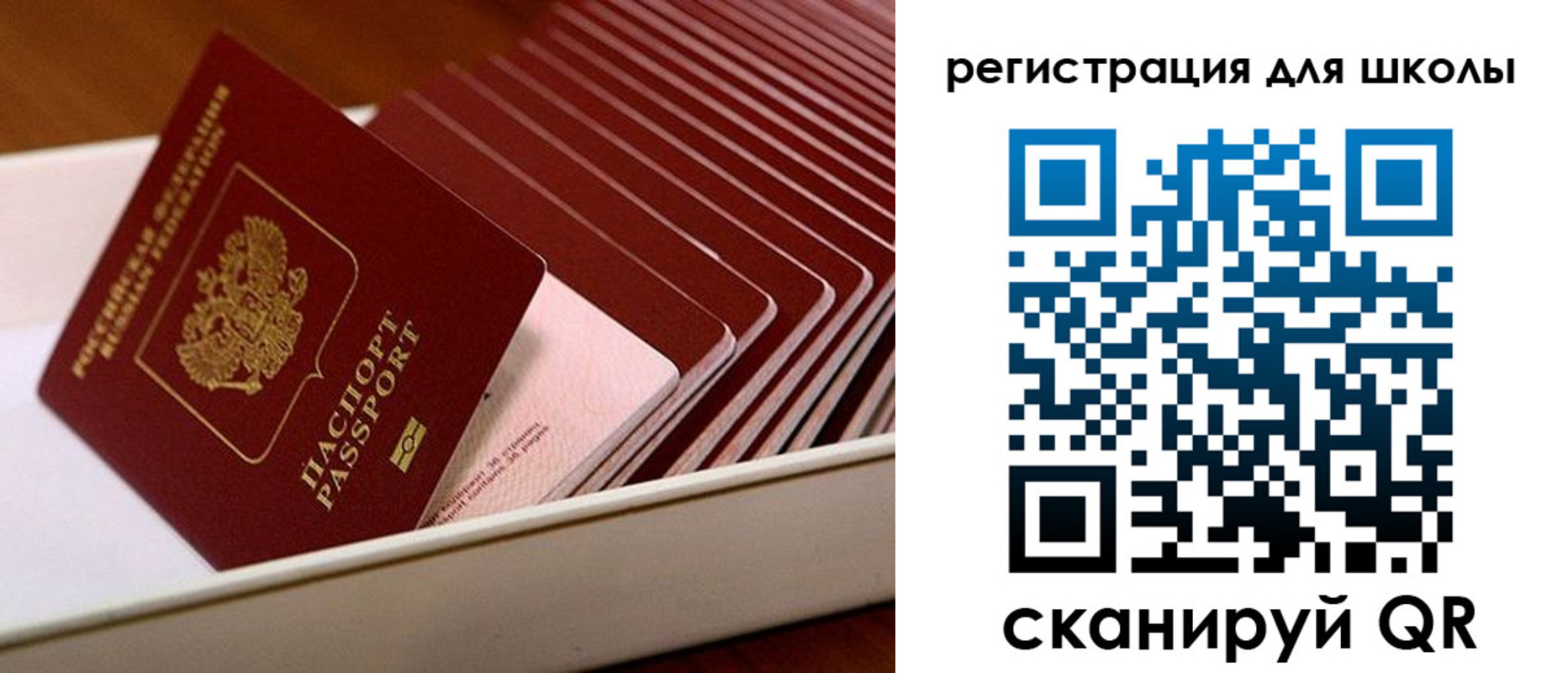прописка гарантия в Калужской области